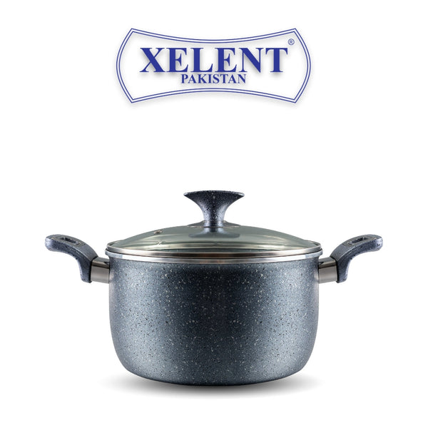 XELENT CASSEROLE 22 CM